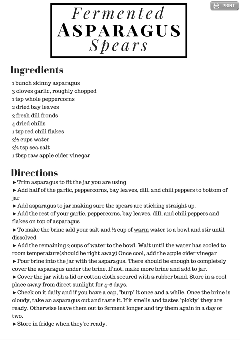 Fermented Asparagus Spears Recipe