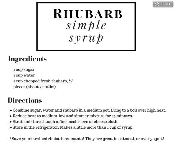 Rhubarb Simple Syrup Recipe